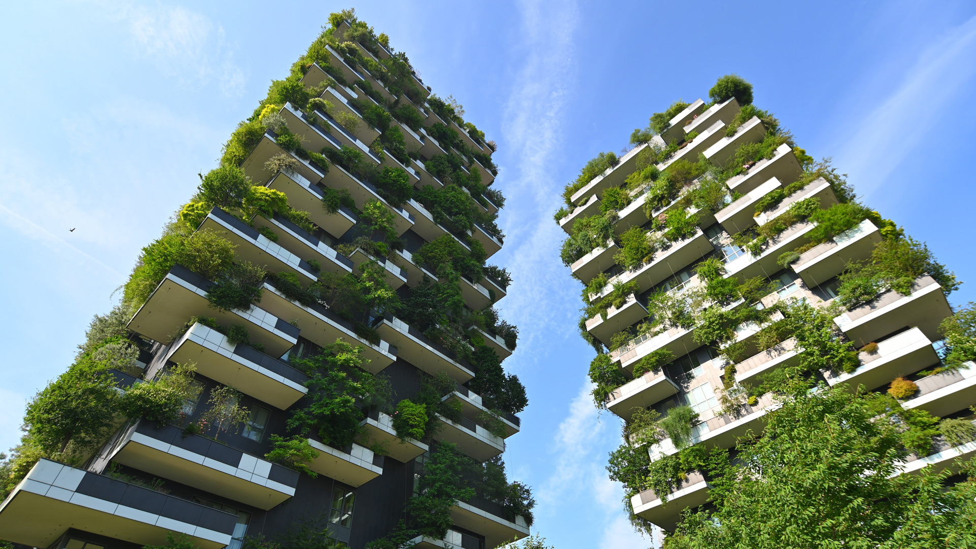 Mit unseren Lösungen können alle am Bau-Lebenszyklus Beteiligten Rohstoffe, Energie und Ressourcen sparen